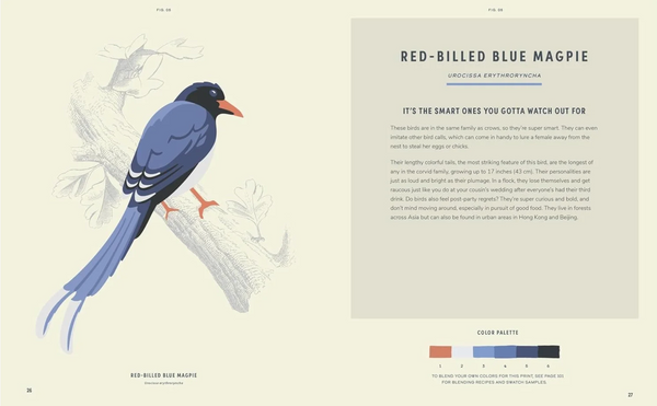 COLOREADY BIRDS PAINT-BY-NUMBER PRINTS BOOK