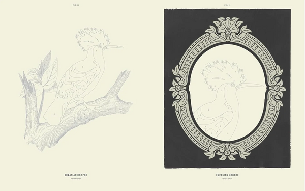 COLOREADY BIRDS PAINT-BY-NUMBER PRINTS BOOK