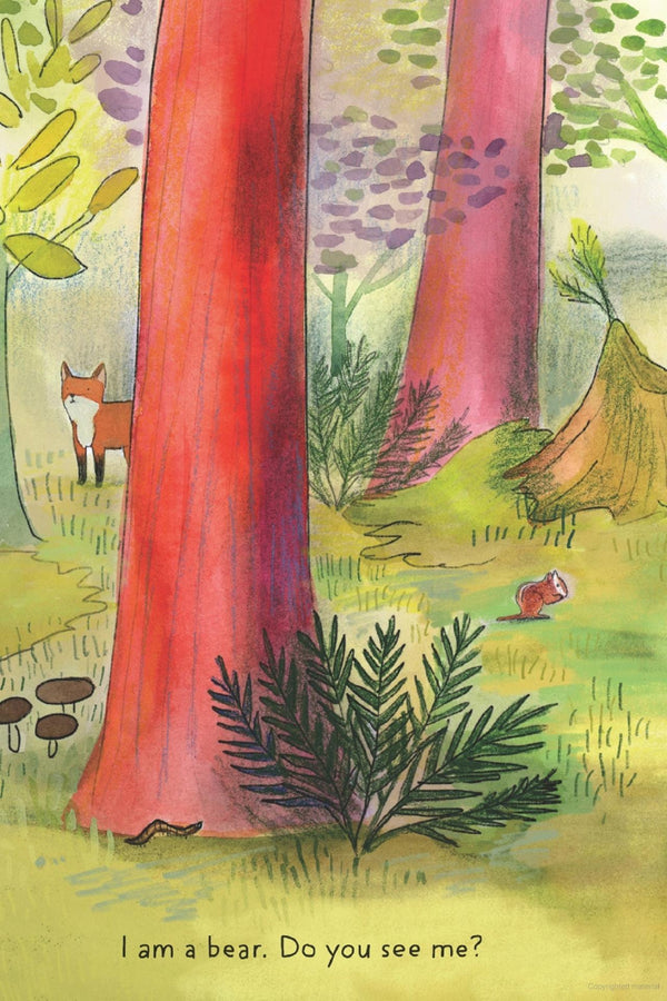 A CUB STORY BOARD BOOK