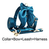 PERSONALIZED BLUE GREEN SATIN CLASSIC DOG WALK SET