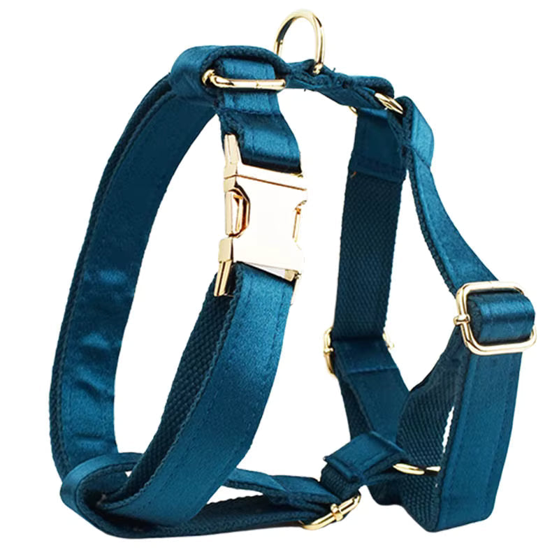 PERSONALIZED BLUE GREEN SATIN CLASSIC DOG WALK SET