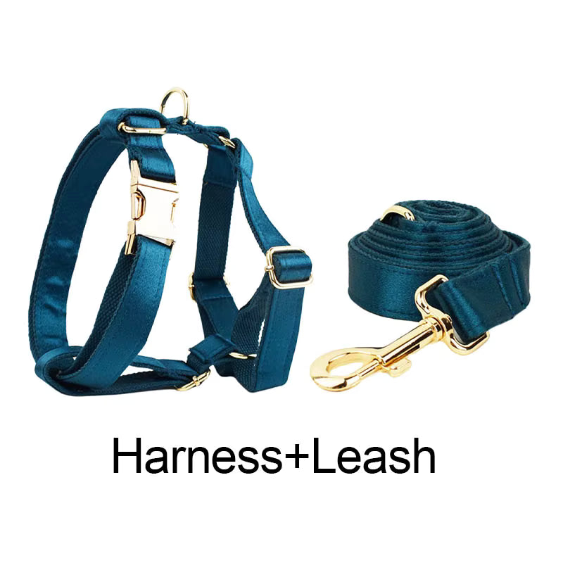 PERSONALIZED BLUE GREEN SATIN CLASSIC DOG WALK SET
