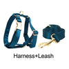 PERSONALIZED BLUE GREEN SATIN CLASSIC DOG WALK SET