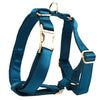 PERSONALIZED BLUE GREEN SATIN CLASSIC DOG WALK SET