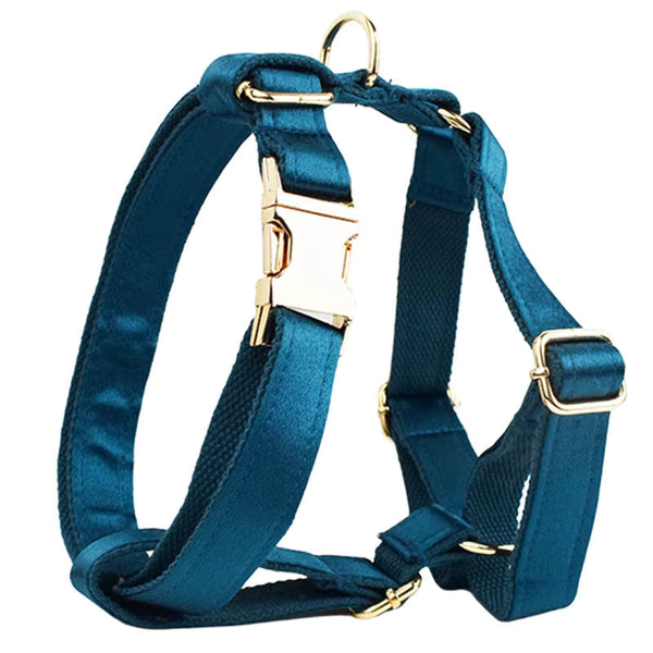 PERSONALIZED BLUE GREEN SATIN CLASSIC DOG WALK SET