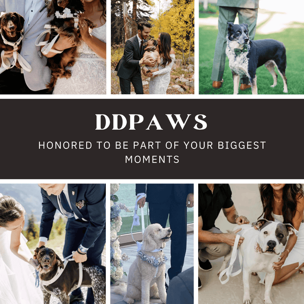 PERSONALIZED BLUE GREEN SATIN CLASSIC DOG WALK SET