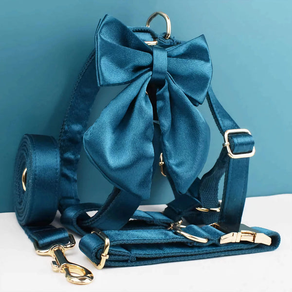 PERSONALIZED BLUE GREEN SATIN CLASSIC DOG WALK SET