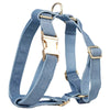 PERSONALIZED BLUE DENIM CLASSIC DOG WALK SET