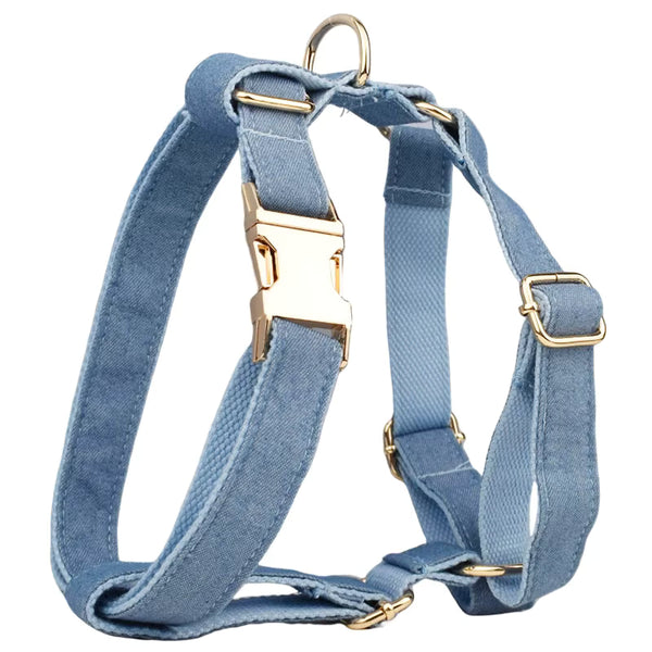 PERSONALIZED BLUE DENIM CLASSIC DOG WALK SET