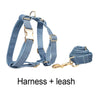 PERSONALIZED BLUE DENIM CLASSIC DOG WALK SET