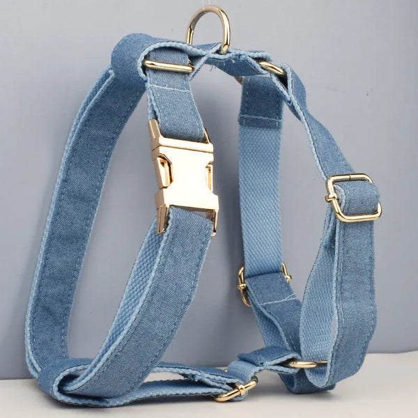 PERSONALIZED BLUE DENIM CLASSIC DOG WALK SET