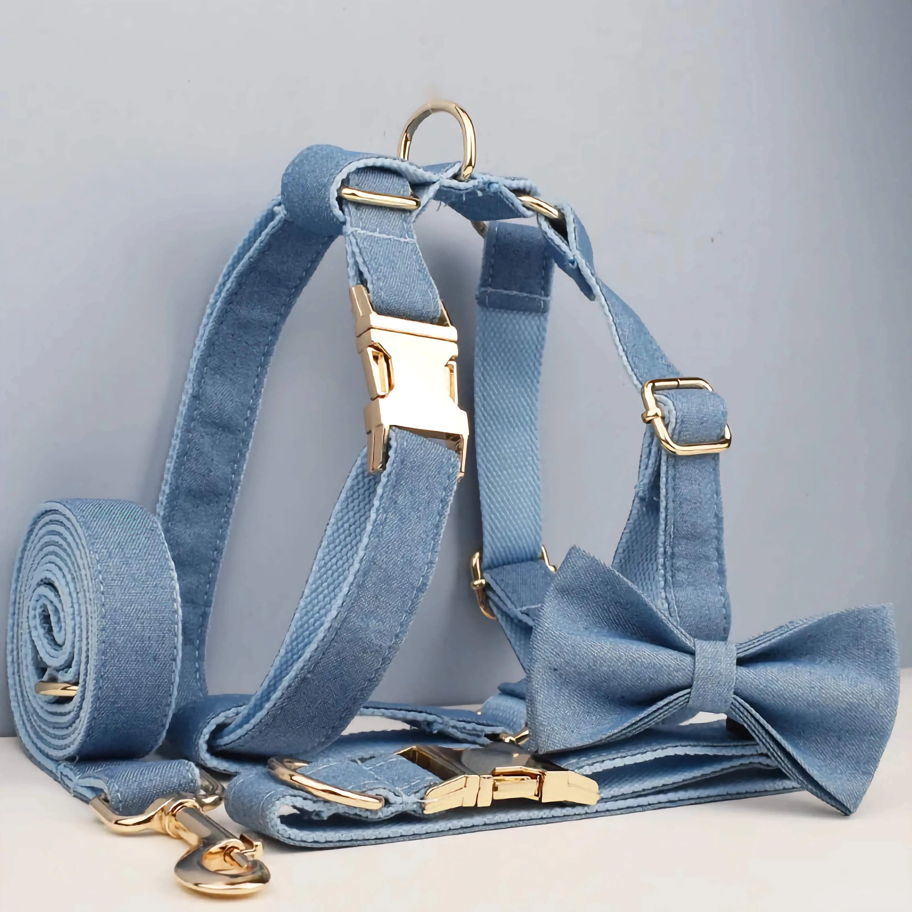 PERSONALIZED BLUE DENIM CLASSIC DOG WALK SET