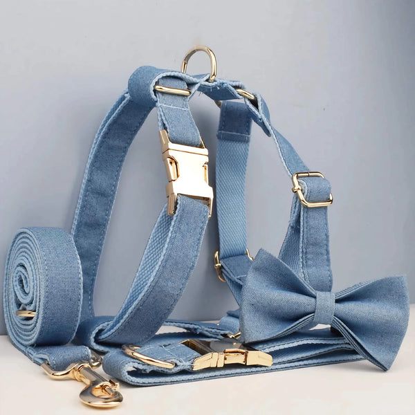 PERSONALIZED BLUE DENIM CLASSIC DOG WALK SET