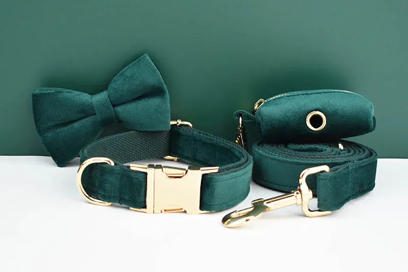PERSONALIZED GREEN VELVET CLASSIC DOG WALK SET
