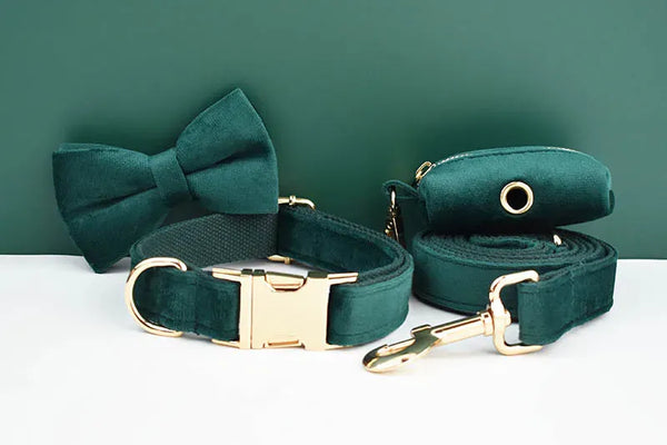 PERSONALIZED GREEN VELVET CLASSIC DOG WALK SET