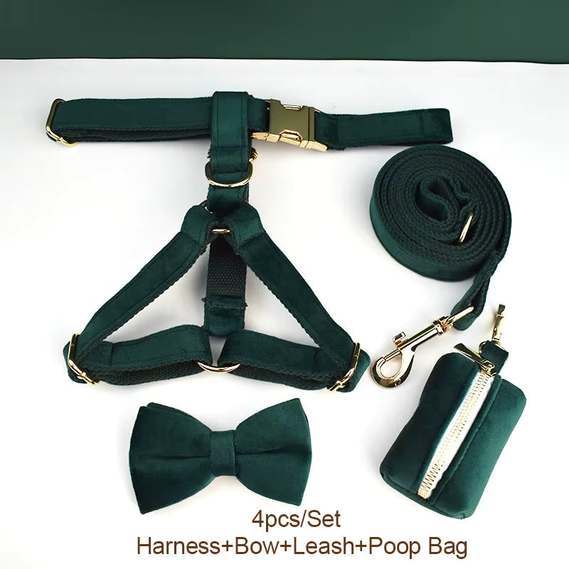PERSONALIZED GREEN VELVET CLASSIC DOG WALK SET