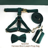 PERSONALIZED GREEN VELVET CLASSIC DOG WALK SET