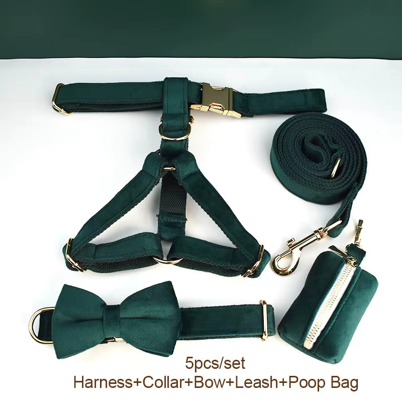PERSONALIZED GREEN VELVET CLASSIC DOG WALK SET