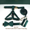 PERSONALIZED GREEN VELVET CLASSIC DOG WALK SET