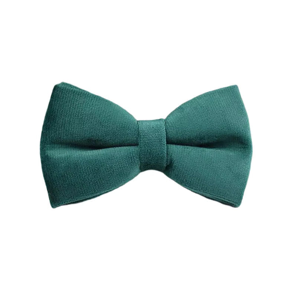 PERSONALIZED GREEN VELVET CLASSIC DOG WALK SET