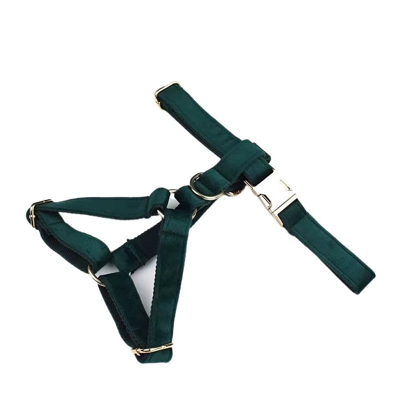 PERSONALIZED GREEN VELVET CLASSIC DOG WALK SET