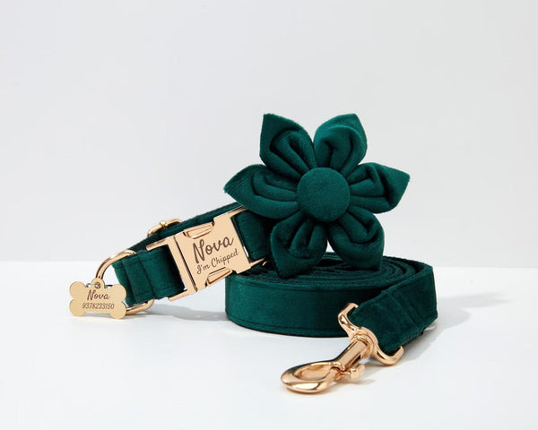 PERSONALIZED GREEN VELVET CLASSIC DOG WALK SET