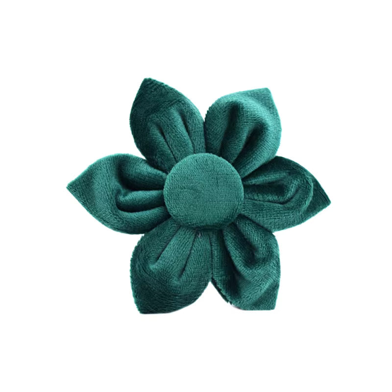 PERSONALIZED GREEN VELVET CLASSIC DOG WALK SET