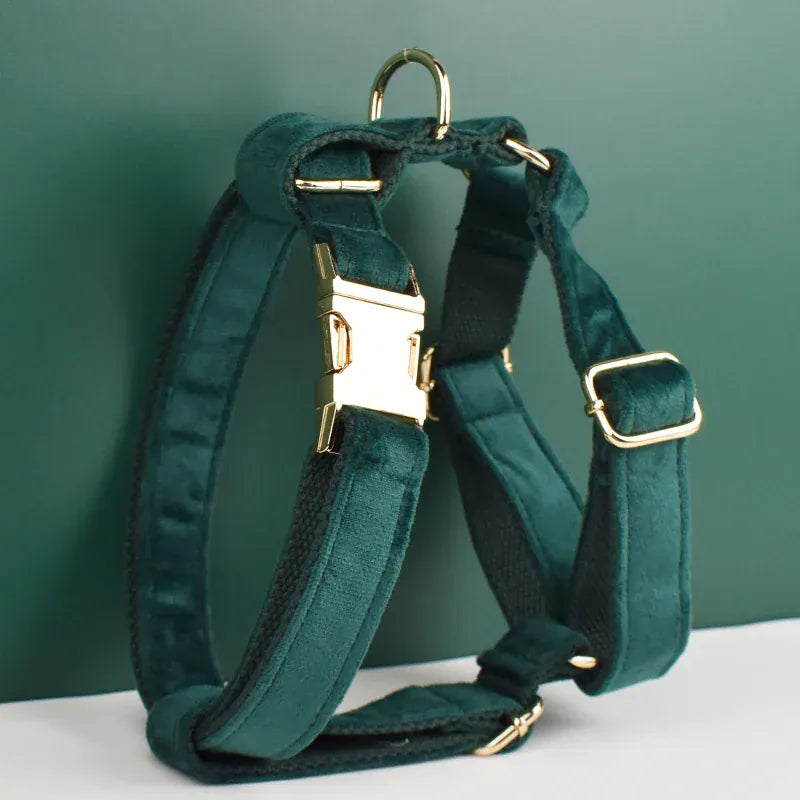 PERSONALIZED GREEN VELVET CLASSIC DOG WALK SET