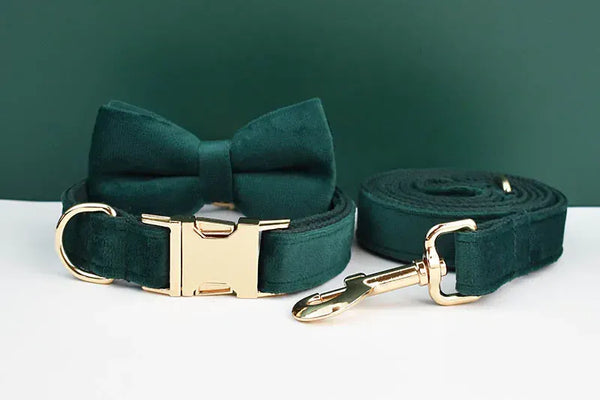 PERSONALIZED GREEN VELVET CLASSIC DOG WALK SET