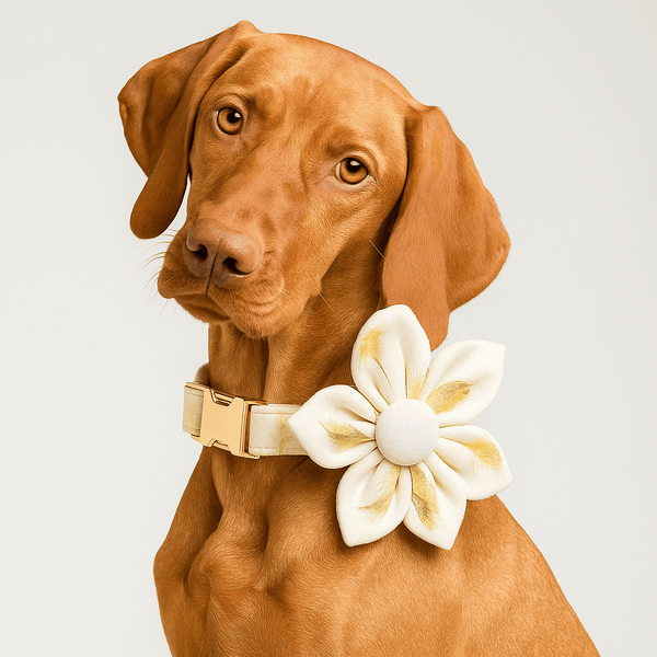 PERSONALIZED IVORY GOLD LEAF VELVET CLASSIC SET