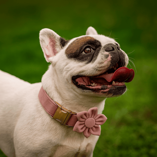 PERSONALIZED LIGHT PURPLE VELVET CLASSIC SET