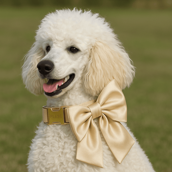 PERSONALIZED GOLD SATIN WEDDING CLASSIC DOG ACCESSORY SET