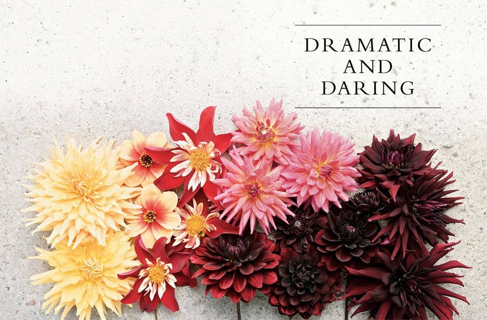 DAHLIAS: BEAUTIFUL VARIETIES FOR HOME & GARDEN