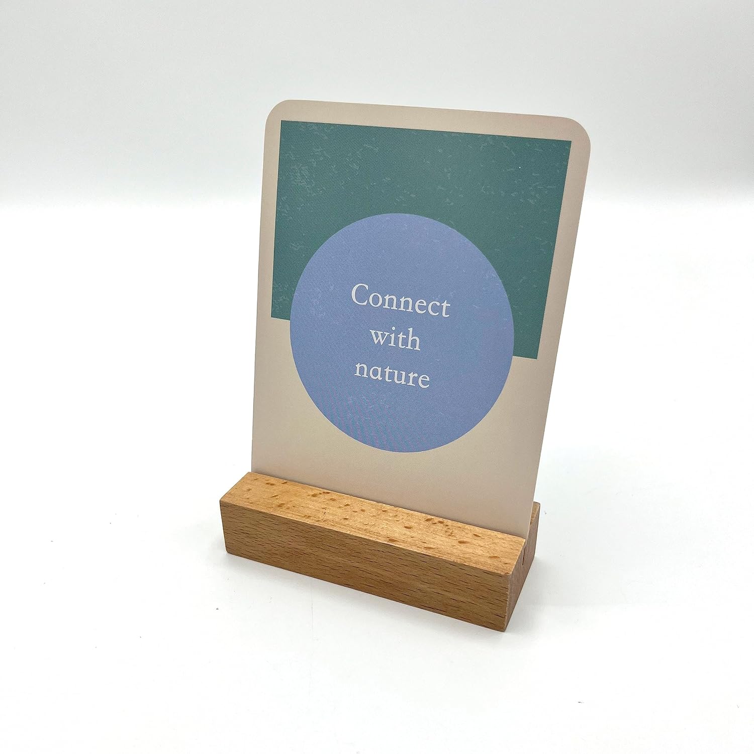 THE LITTLE BOX OF DAILY RITUALS