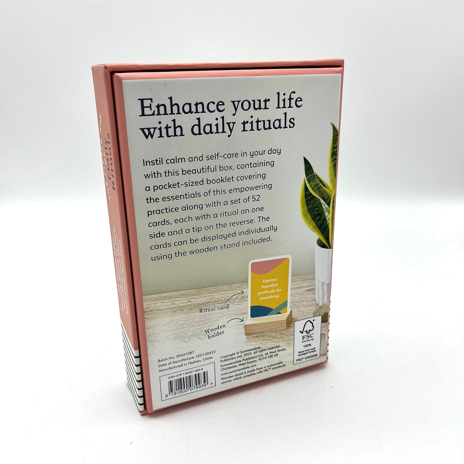 THE LITTLE BOX OF DAILY RITUALS