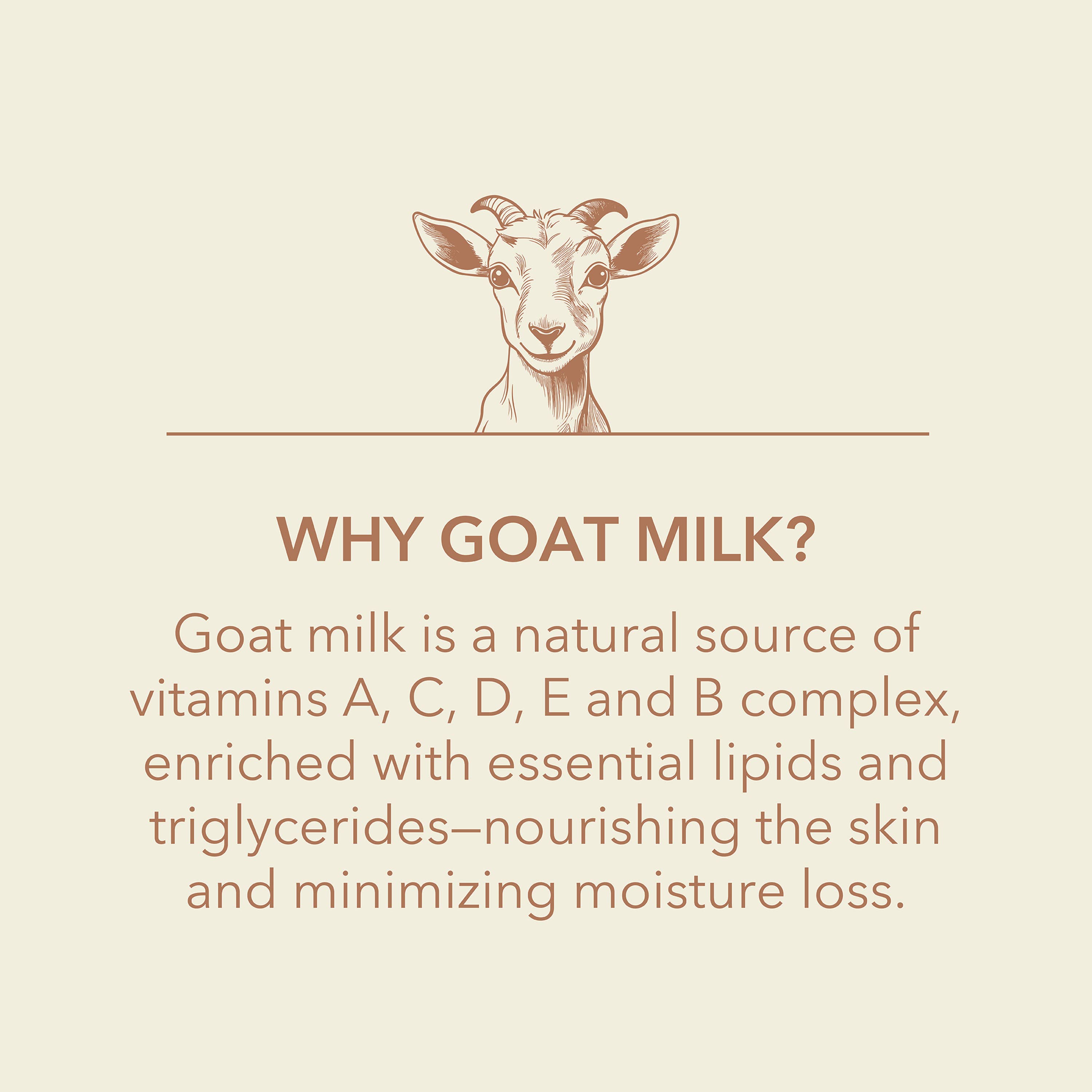 DIONIS MILK & HONEY GOAT MILK BAR SOAP, 6 OZ