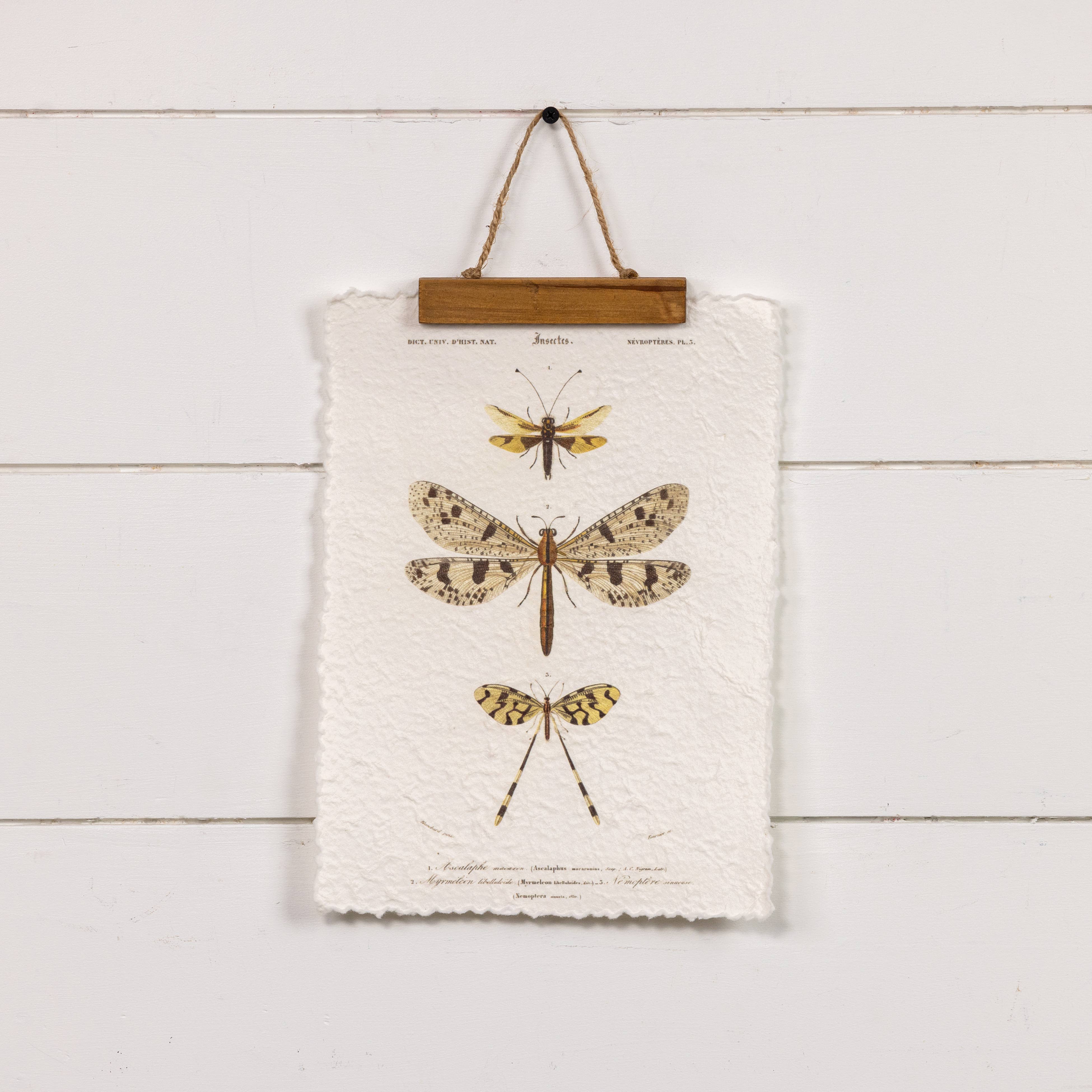 DRAGONFLY WALL SCROLL