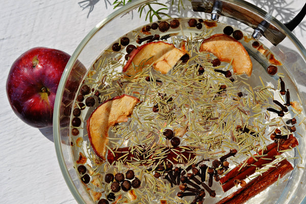 ”WITCH’S BREW” AUTUMN FALL HALLOWEEN SIMMER STOVETOP SPICES