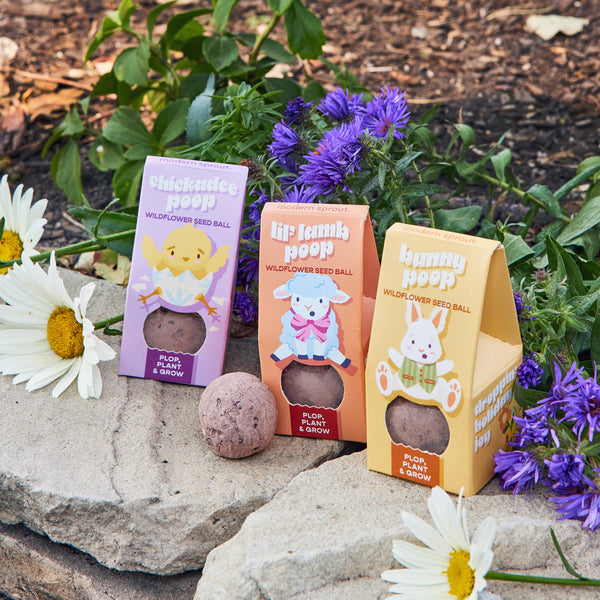 EASTER PLOP, PLANT & GROW SEED KIT