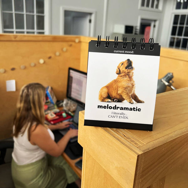 DAILY DOGGO - DESK FLIPCHART