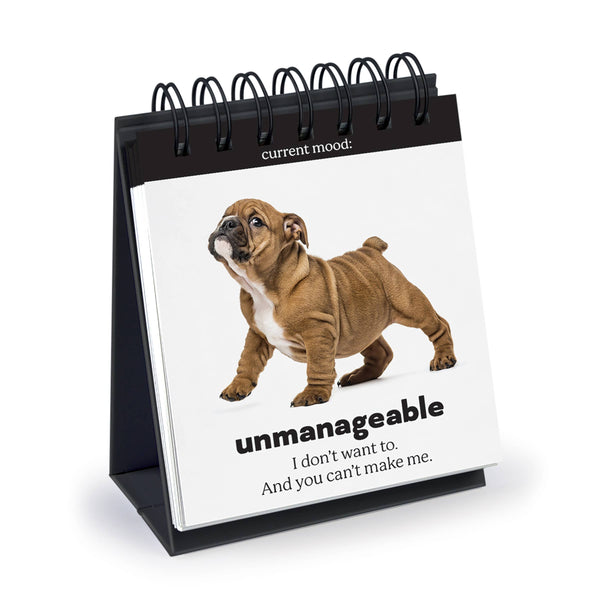 DAILY DOGGO - DESK FLIPCHART