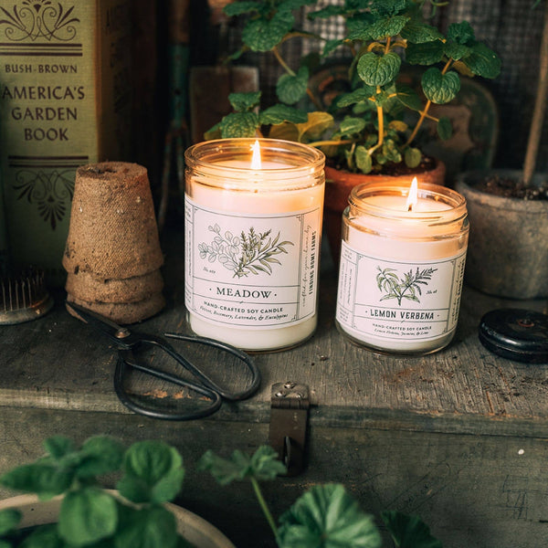 LEMON VERBENA - WOOD TOP CANDLE
