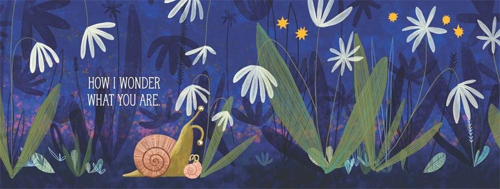 TWINKLE TWINKLE LITTLE STAR BOOK