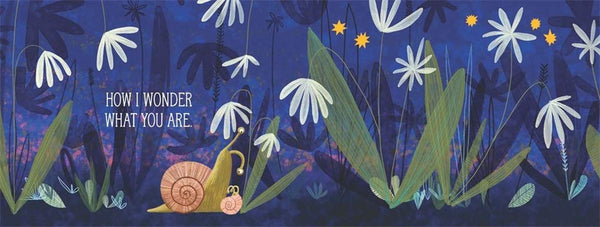 TWINKLE TWINKLE LITTLE STAR BOOK