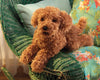 TOY POODLE PUPPET