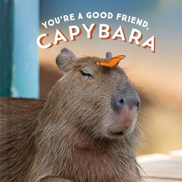 A capybara with a butterfly on its nose, with the title 'You're a Good Friend, Capybara' overlaid at the top.