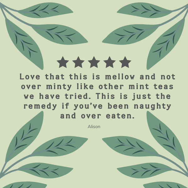 HAMPSTEAD ORGANIC GREEN TEA & MIN (20 TEABAGS)