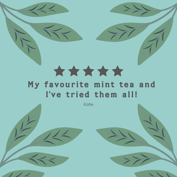 HAMPSTEAD ORGANIC PEPPERMINT & SPEARMINT (20 TEABAGS)