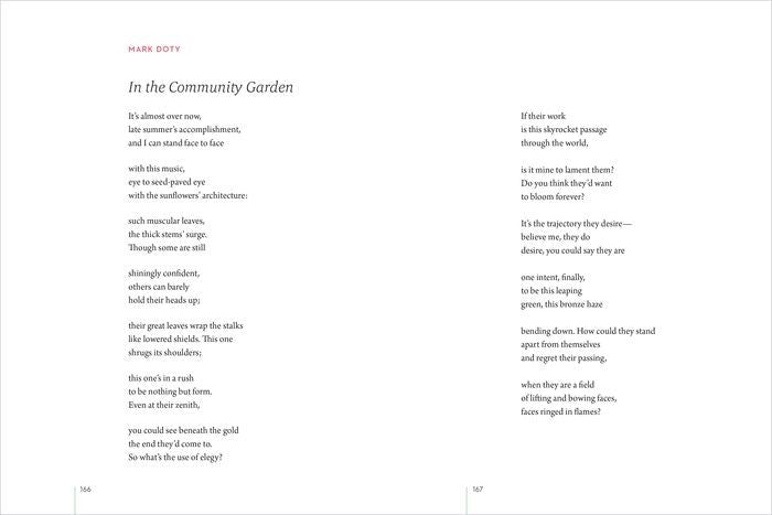 LEANING TOWARD LIGHT POEM BOOK