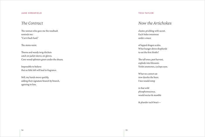 LEANING TOWARD LIGHT POEM BOOK